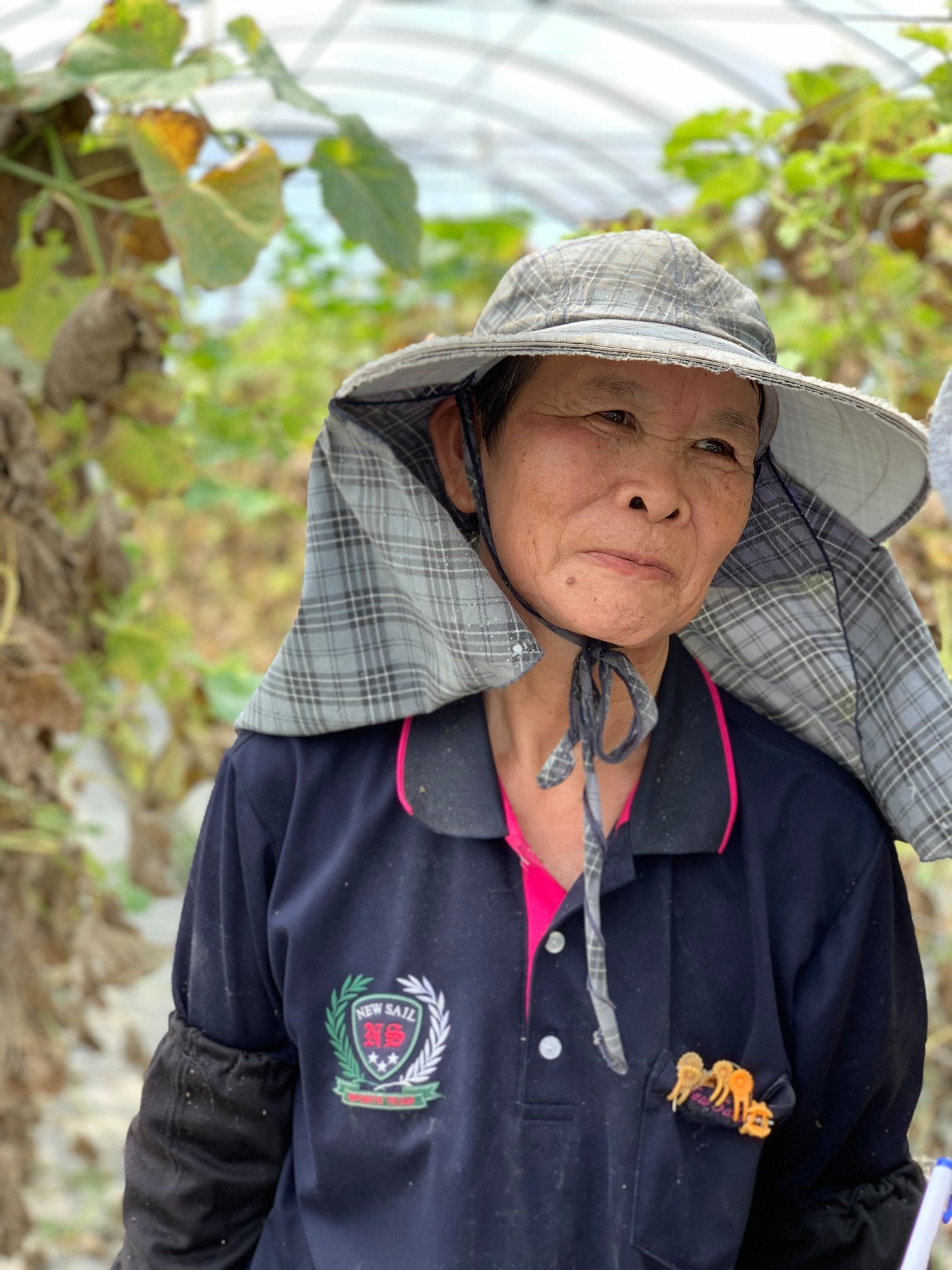 精彩回顧 100