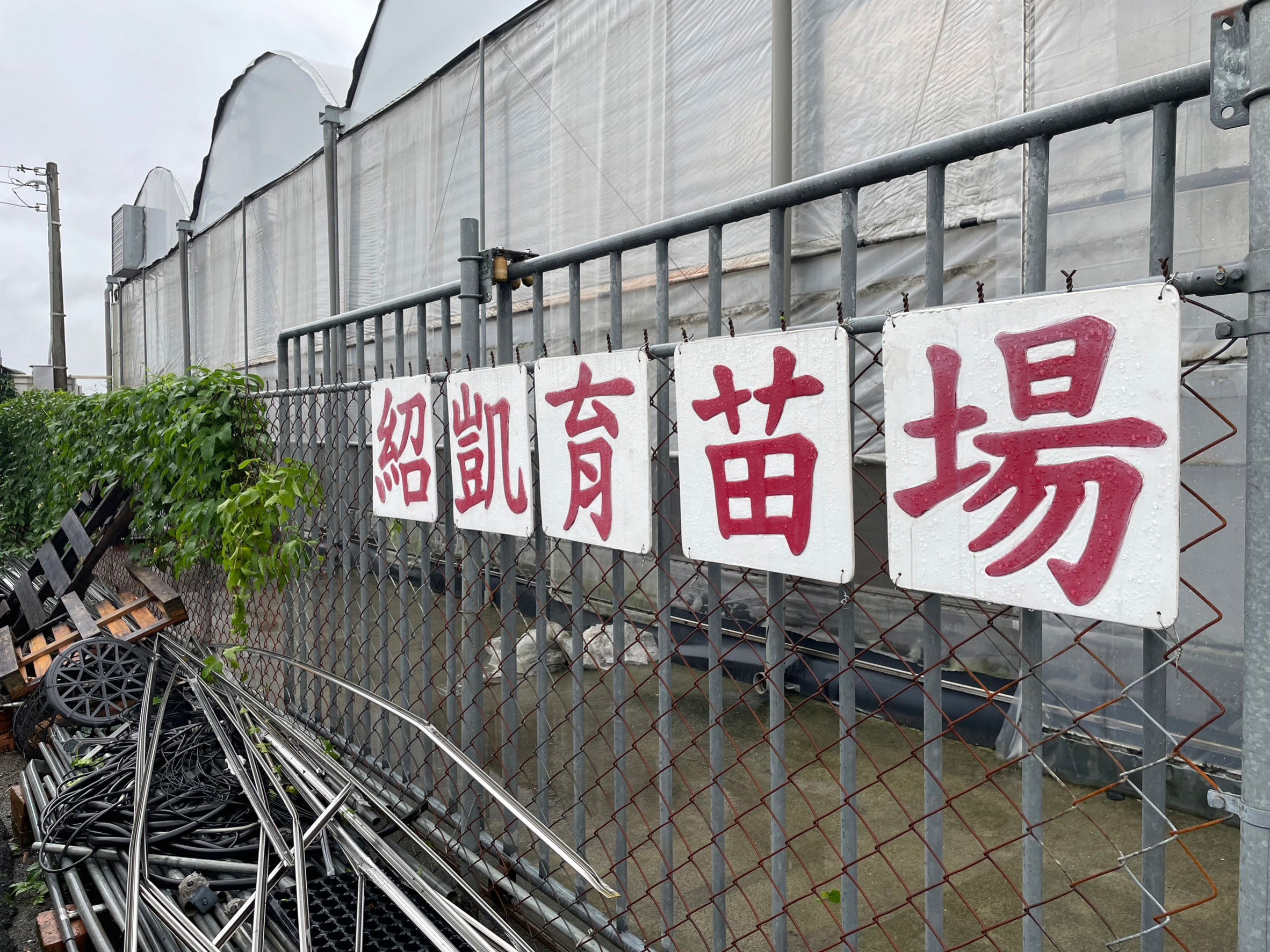 精彩回顧 30
